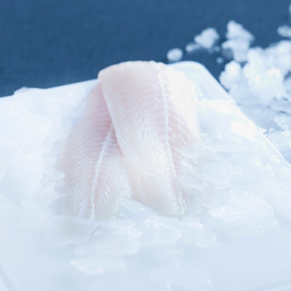 Pangasiusfilet, ohne Haut, grätenfrei, 280-340g, IQF, 15% Glasur