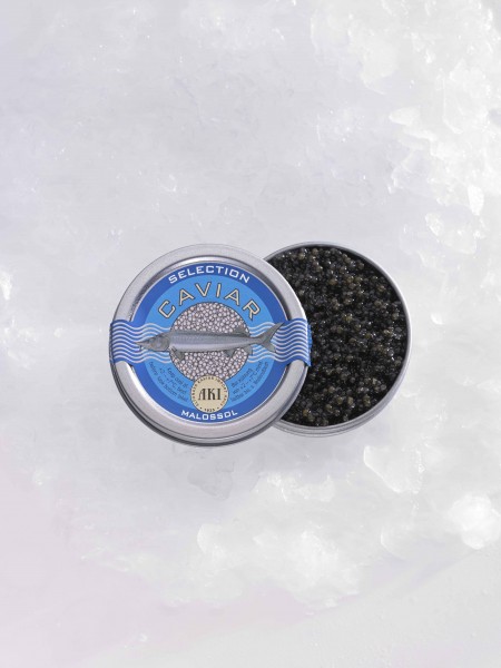 Kaviar Selection "Blue Label" 50g Dose, frisch