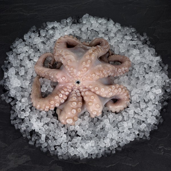 Krake "Pulpo" 500-1000 g