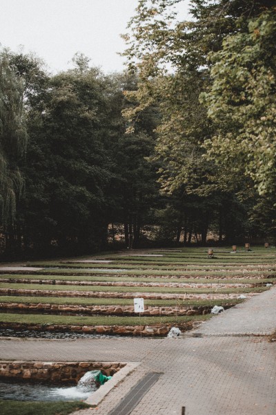 Rotfleischiges Forellefilet mit Haut "Nordschwarzwald", 180-350g