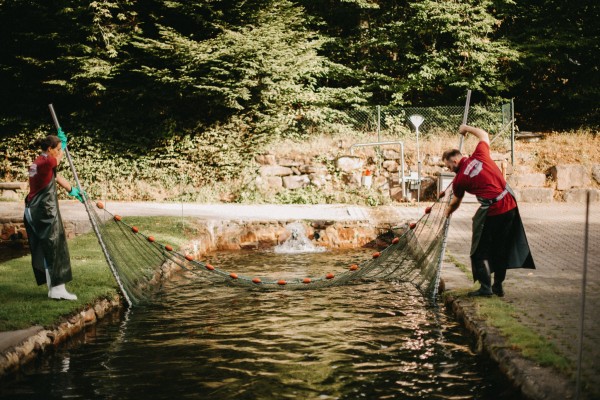 Rotfleischiges Forellefilet mit Haut "Nordschwarzwald", 180-350g