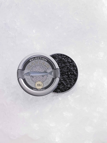 Kaviar Selection "Black Label" 50g Dose, frisch