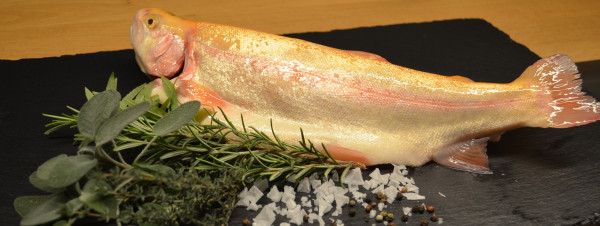 Goldforellen "Schwarzwald", 300-500g
