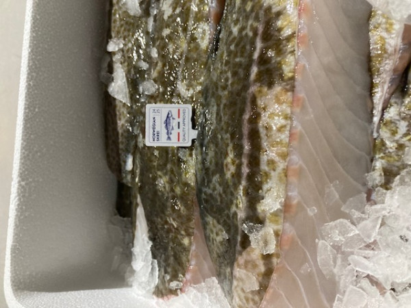 Skrei Loins 400 g+, Gebinde 3,0-3,2 kg, mit Haut