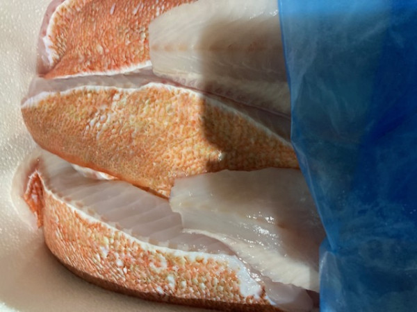 MSC Island Rotbarsch Loins 150 gr+, mit Haut "Iceland-Premium"