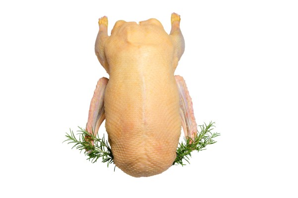 Gans aus Südoldenburg, frisch, ca 4-6kg
