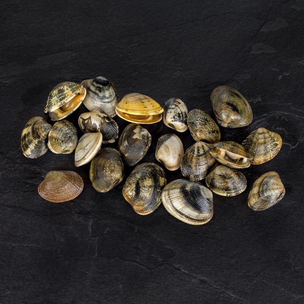 Venusmuscheln groß "Vongole verace" MAP 500 g Schale