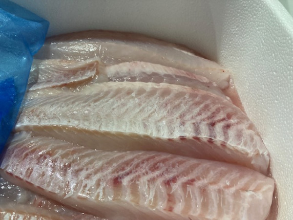 MSC Island Rotbarsch Loins 150 gr+, ohne Haut "Iceland-Premium"