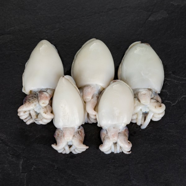 Sepia klein, mit Kopf, ohne Haut, ausgenommen