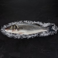 Wolfsbarsch "Leinenfang" 1-2 kg, ausgenommen Wolfsbarsch "Leinenfang" 1-2 kg, ausgenommen