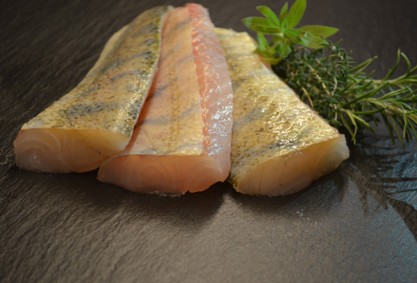 Holland Zander Loins 200g+, mit Haut, geschuppt