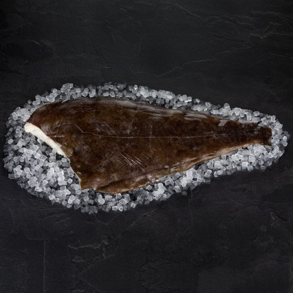 Island Weißes Heilbuttfilet frisch 250-500g, mit Haut "Iceland-Premium"